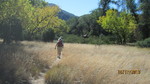 photo thumbnail #13