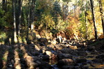 photo thumbnail #1
