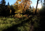 photo thumbnail #2