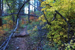 photo thumbnail #4