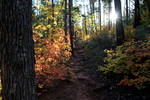 photo thumbnail #5