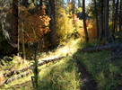 photo thumbnail #7