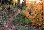 photo thumbnail #13