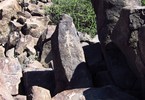 photo thumbnail #10