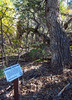 2013-10-18 :1: Rim View Loop :: Grasshopper
