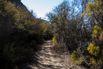 photo thumbnail #9