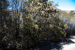 photo thumbnail #15