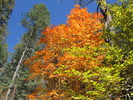 photo thumbnail #9
