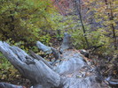 photo thumbnail #14