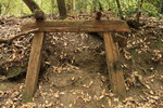 photo thumbnail #3