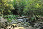photo thumbnail #11