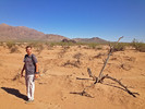 photo thumbnail #2