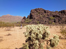 photo thumbnail #6