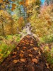 photo thumbnail #3