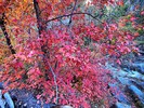 photo thumbnail #10