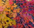 photo thumbnail #15