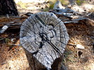 photo thumbnail #7