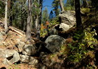 photo thumbnail #10