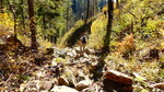 photo thumbnail #12