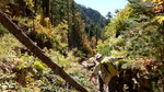 photo thumbnail #13