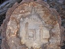 photo thumbnail #4