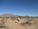 photo thumbnail #1