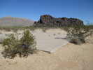 photo thumbnail #2