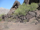 photo thumbnail #4
