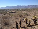 photo thumbnail #5
