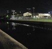 photo thumbnail #11
