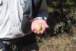 photo thumbnail #2