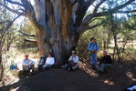photo thumbnail #5