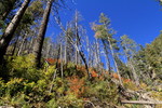 photo thumbnail #1