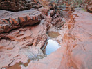 Featured Detail Photo