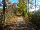 photo thumbnail #7