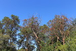 photo thumbnail #8