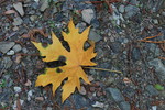 photo thumbnail #11