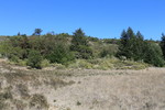 photo thumbnail #15