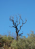 photo thumbnail #5