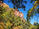 photo thumbnail #3