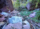 photo thumbnail #6