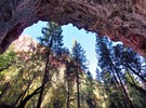 photo thumbnail #13