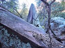 photo thumbnail #14