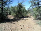 photo thumbnail #8