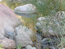 photo thumbnail #13