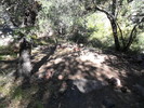 photo thumbnail #15