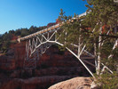 photo thumbnail #9