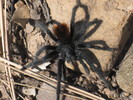 photo thumbnail #5