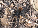photo thumbnail #6