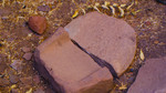 photo thumbnail #15
